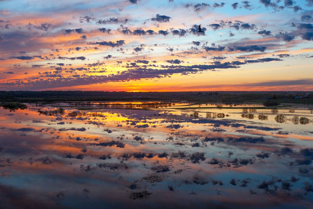 Photograph by Александр Кузнецов