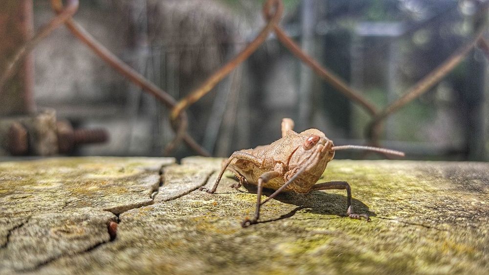 Photograph by Nileydi Colmenarez