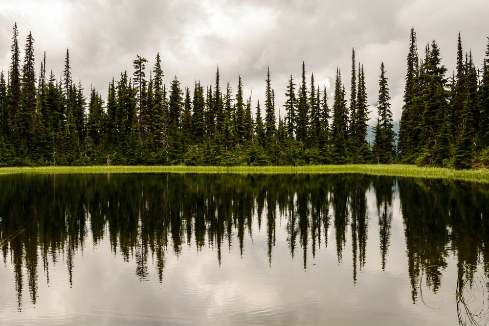 Photograph by Константин