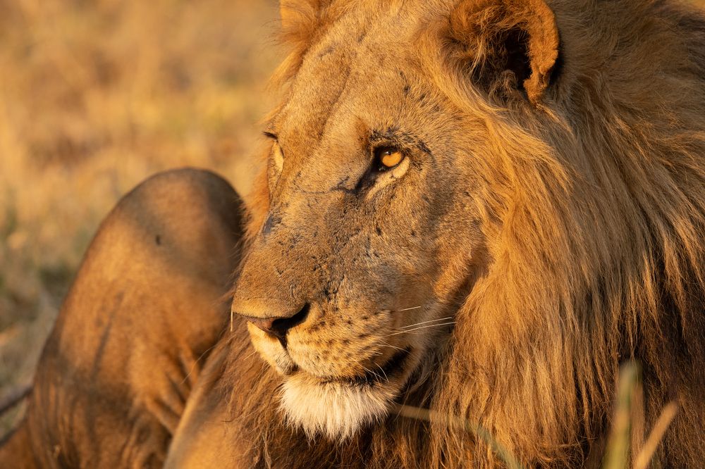 Photograph by Raquel Barao