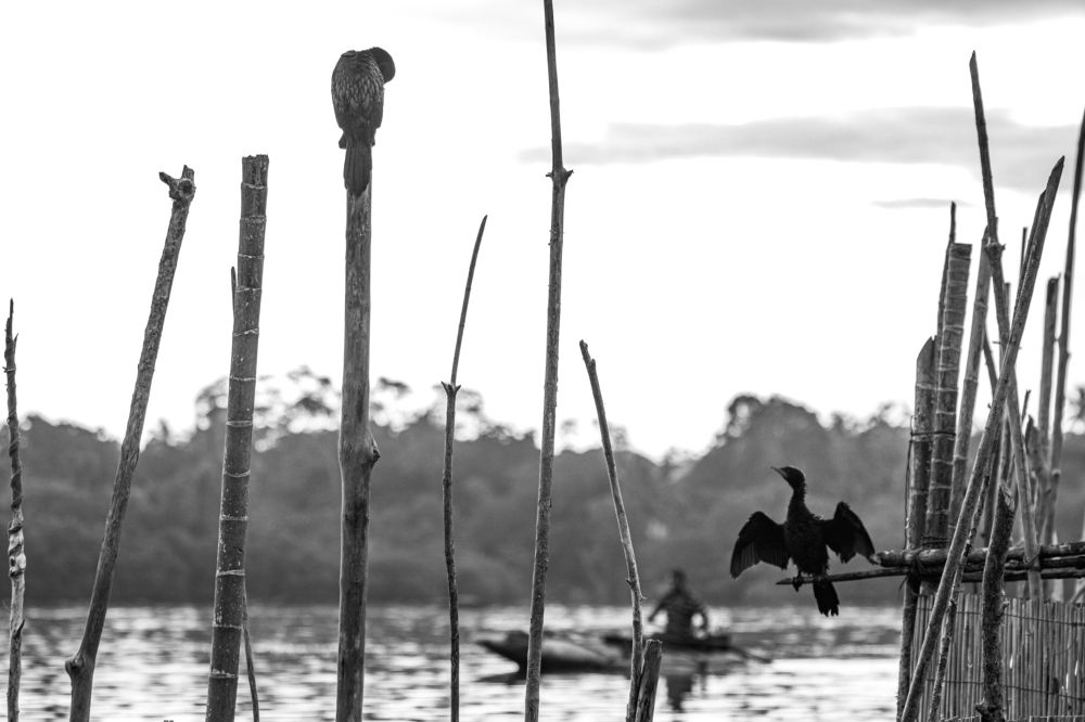 Photograph by Chamara Sulakkhana Polwatta Siriyalage