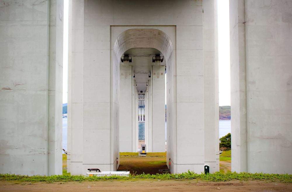 Photograph by Наталья Степченко