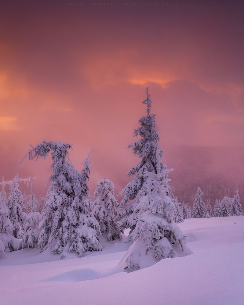 Winter in Beskidy mountains,Poland
