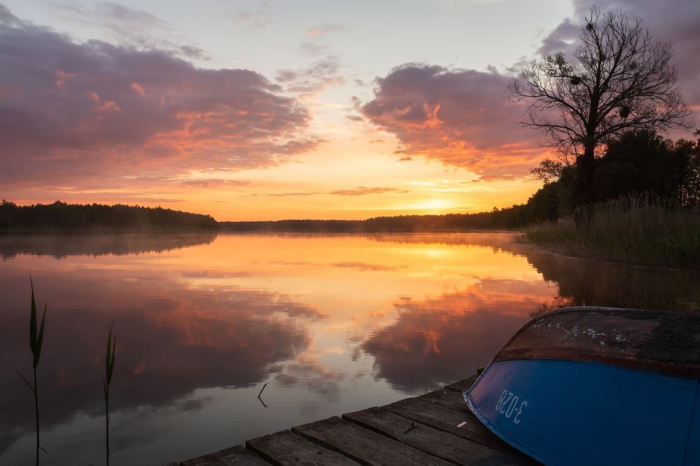 Photograph by Захаров Дмитрий