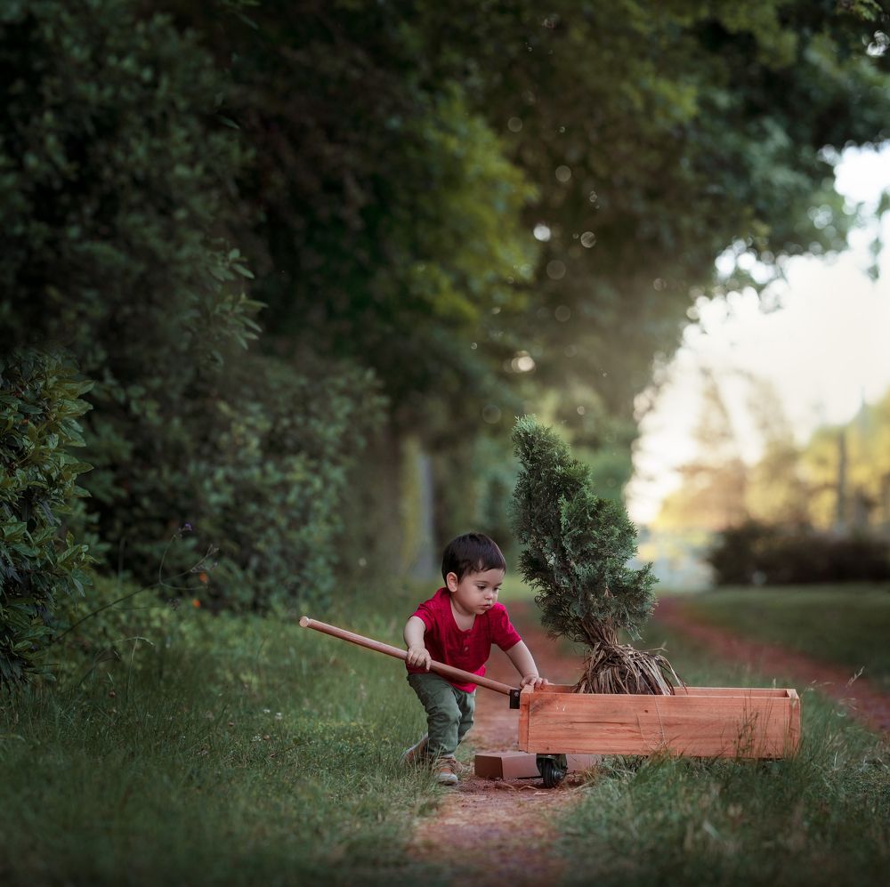 Photograph by Melina Marchi