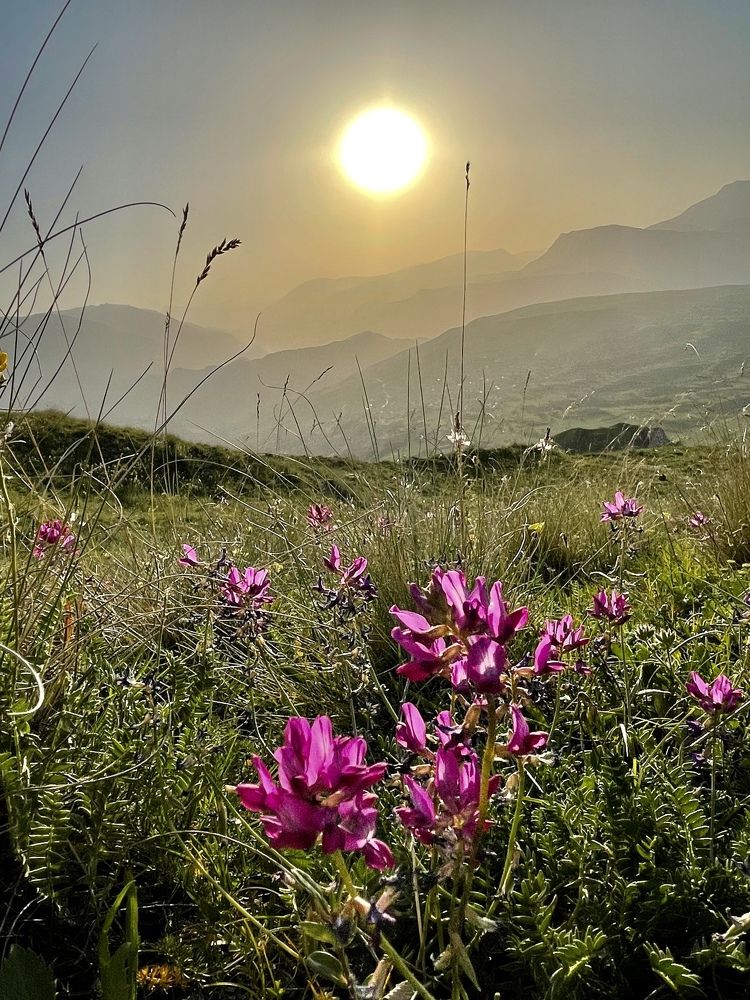 Фотография автора Недосекина Юлия