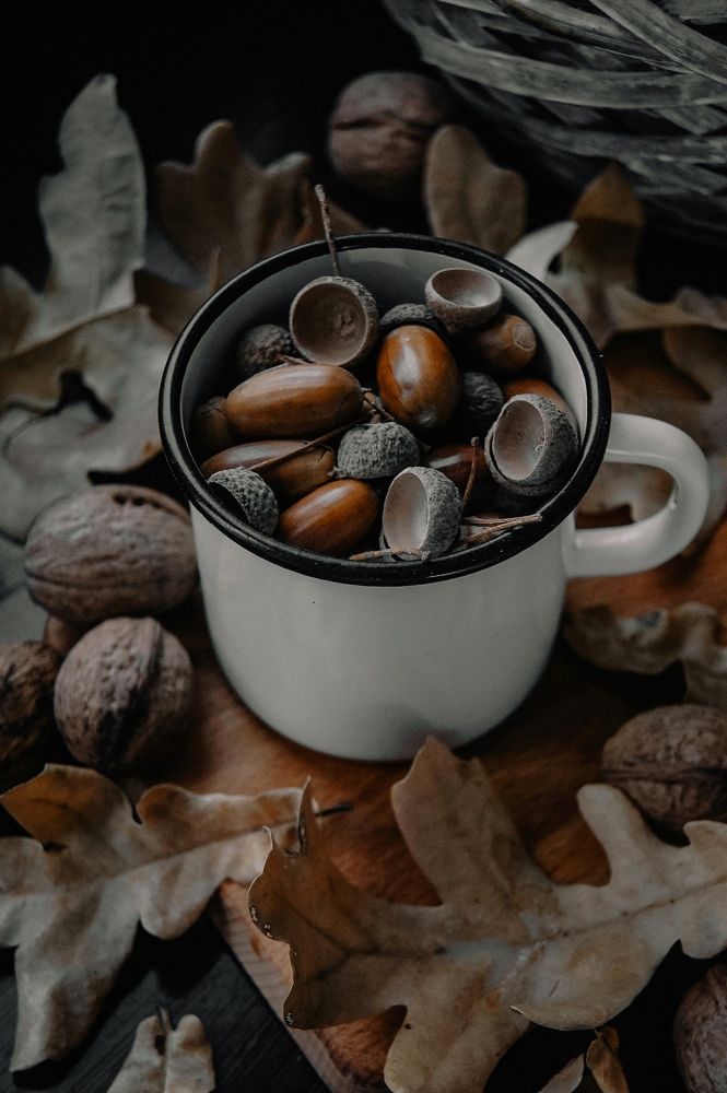 Photograph by Майя Болдырева