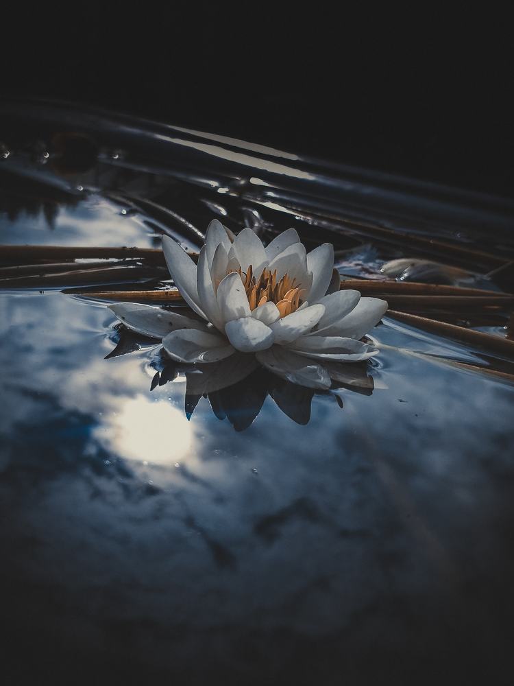 Photograph by Наташа Черепенина