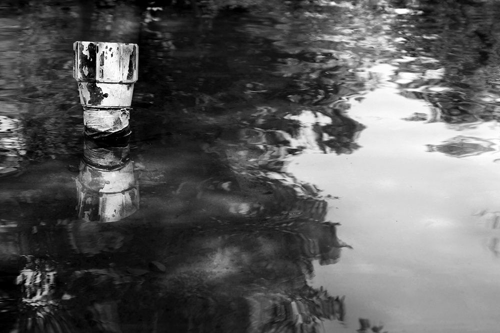 Photograph by Hengameh pirooz