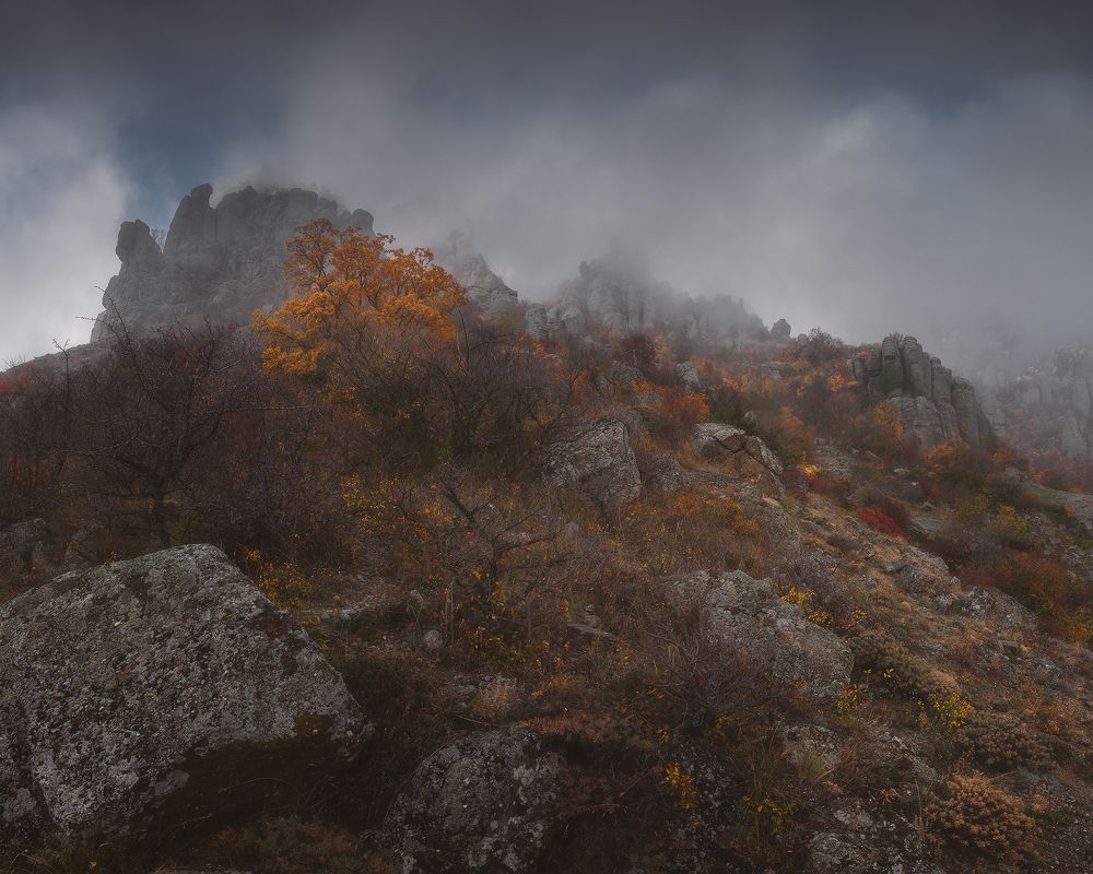 Photograph by Oleg Feofanov