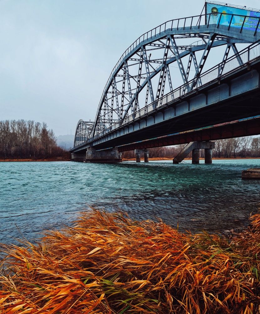 Photograph by Ольга Веселова