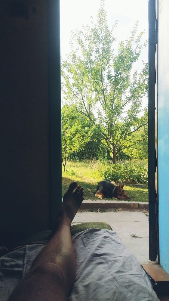 Morning at their summer cottage