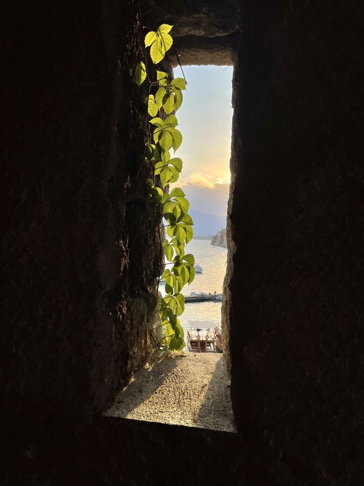 Photograph by Ольга Корнакова