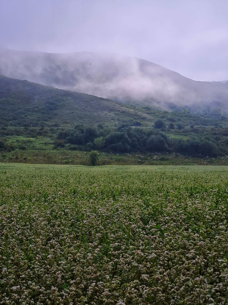 Photograph by Ольга Веселова