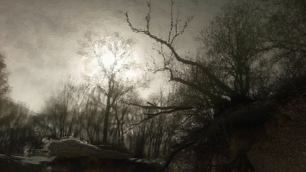 Photograph by Юлия Лихачева