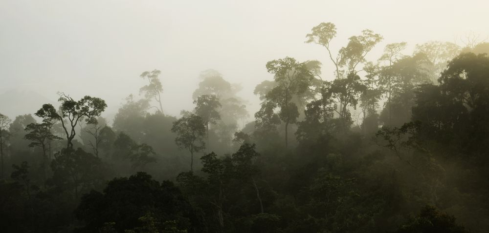 Photograph by irvan akhmad