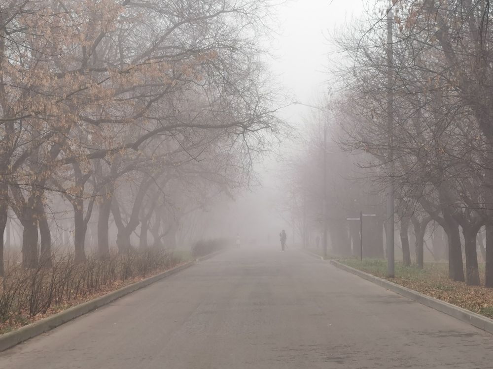 Photograph by Natalia Perova