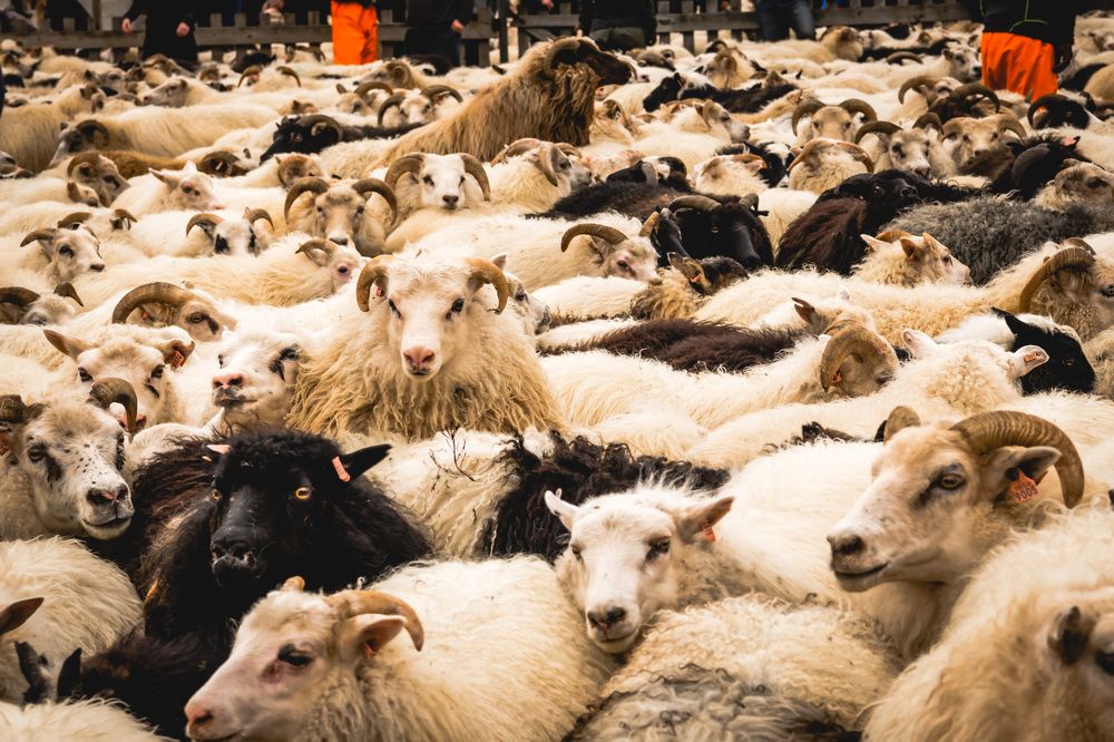 Photograph by Agnieszka Wieczorek