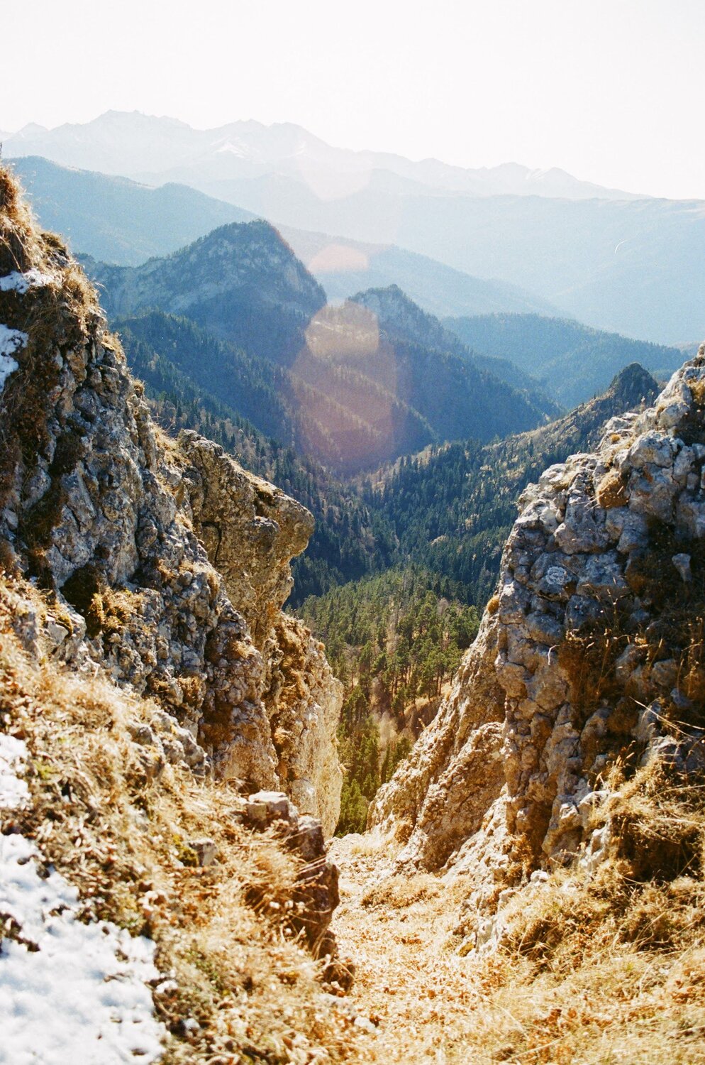Photo #6835300