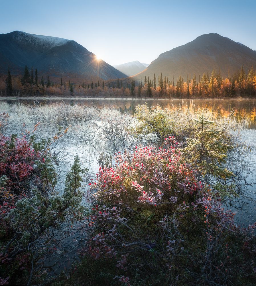 Морозное утро