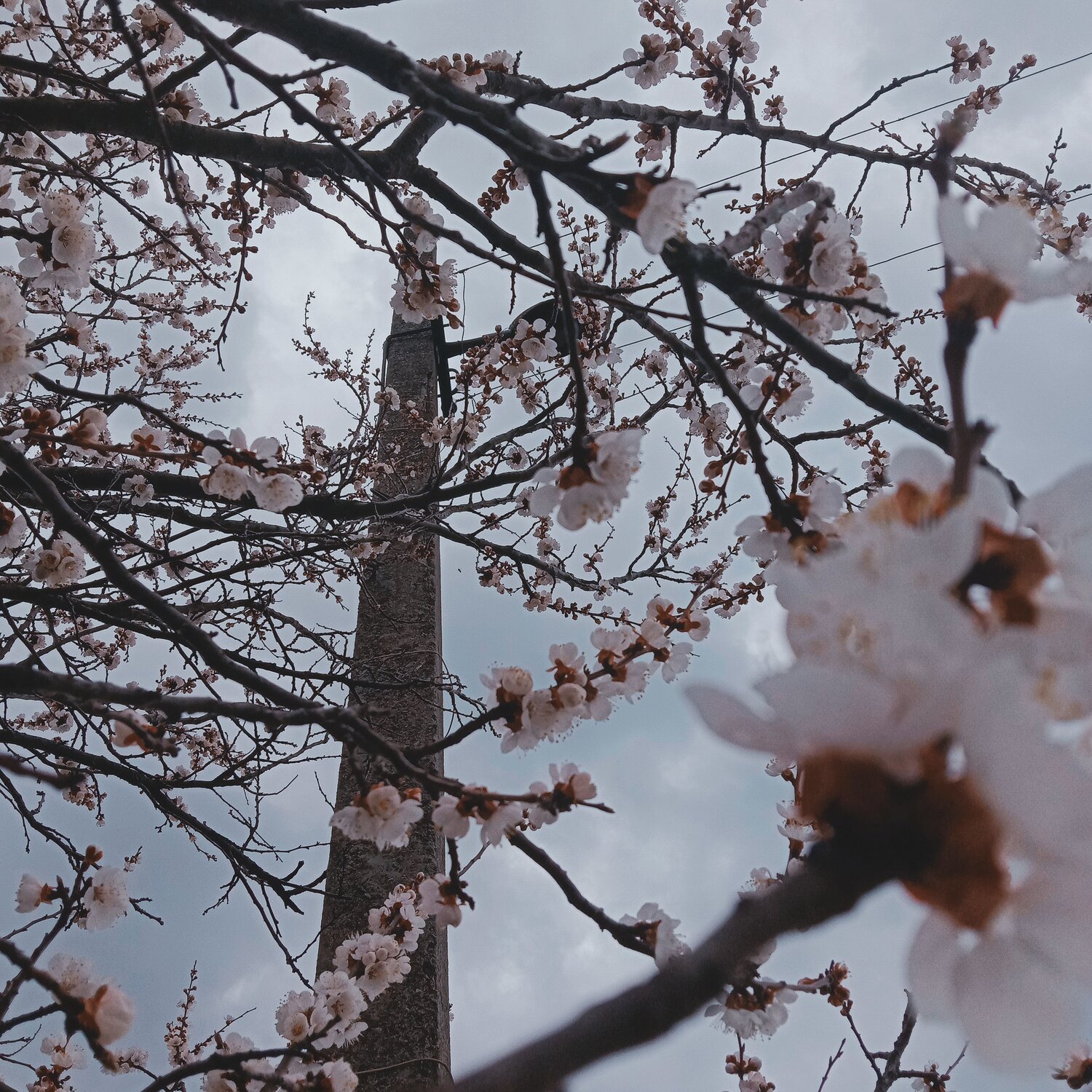 Photo #6835384