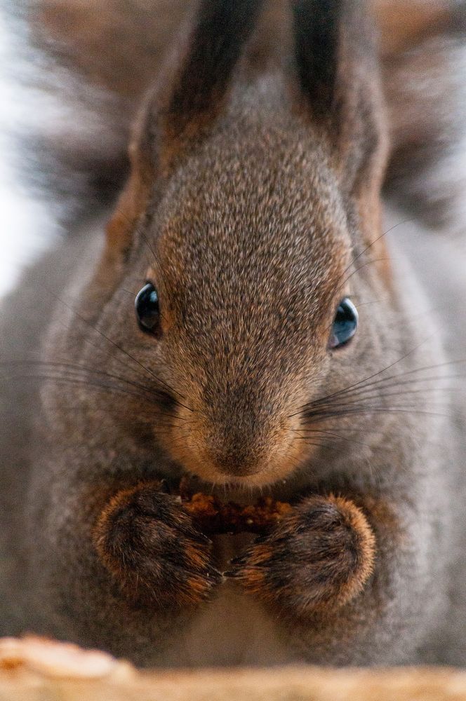 Photograph by Вадим Басов