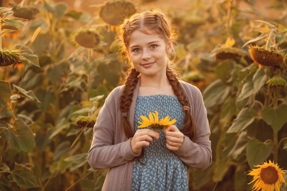 Подсолнухи