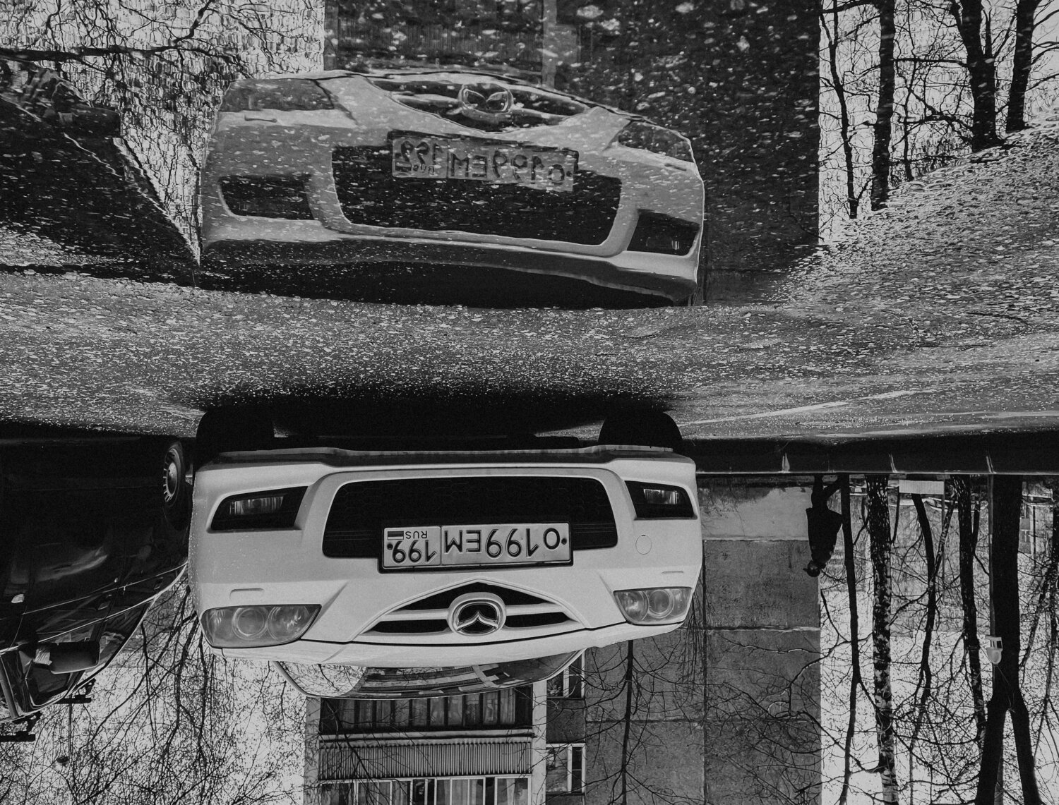 Photo #6835528