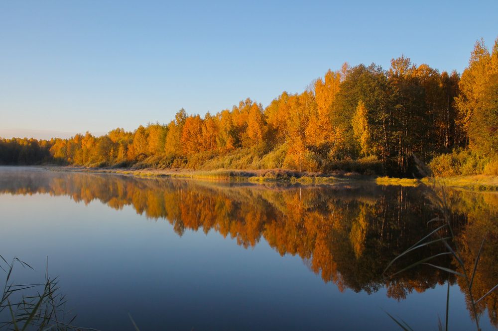 Золотая осень