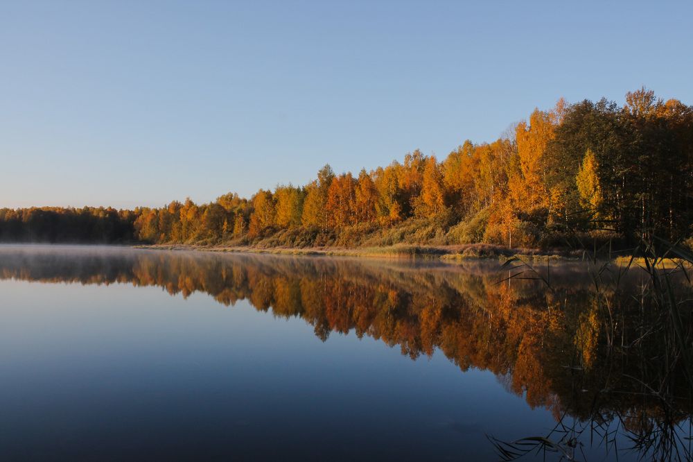 Золотая осень