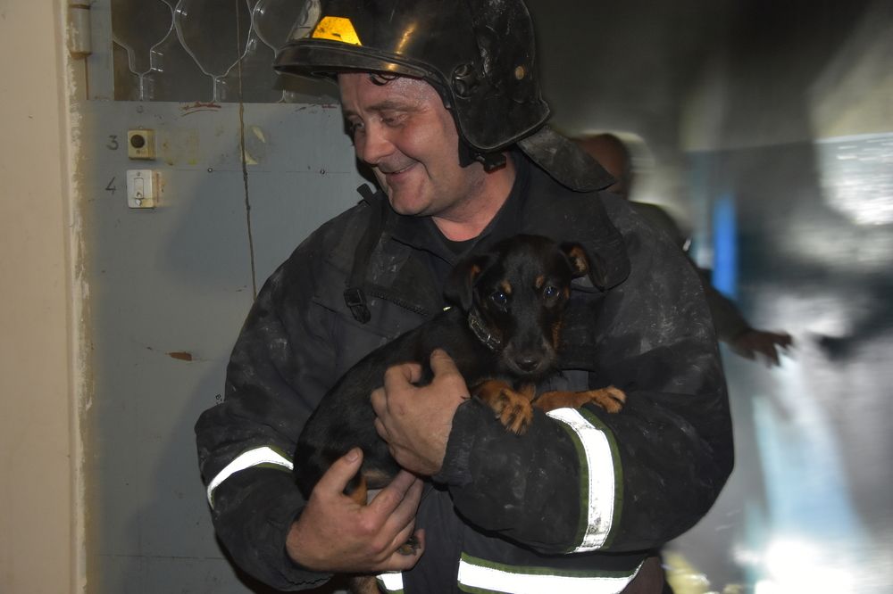 Спасённая жизнь.