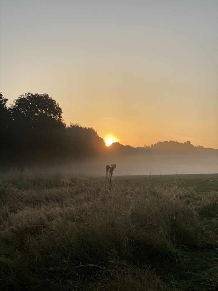 Фотография автора Natalja Bindere