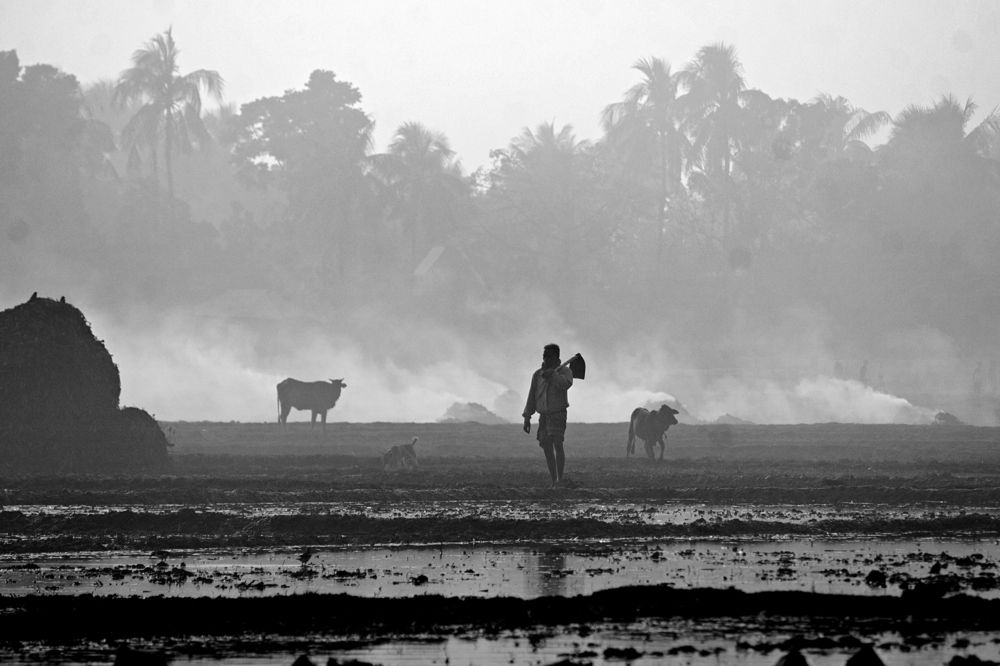 Photograph by Kayes Md Imrul