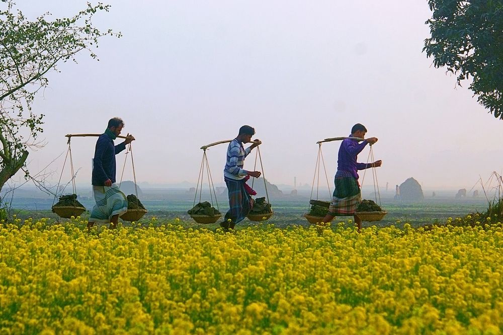 Photograph by Kayes Md Imrul