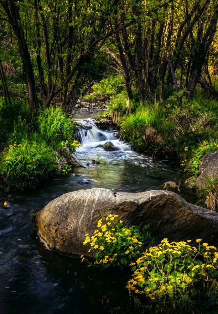 Photograph by Артемий Соловьёв