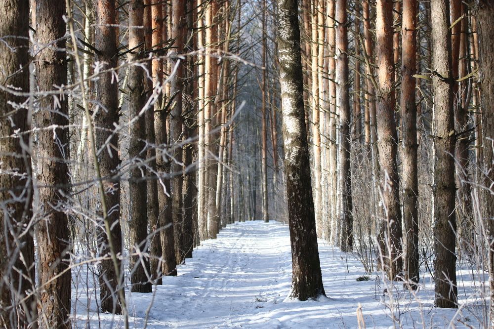 Photograph by Евгения Малафеева