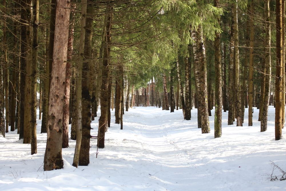 Photograph by Евгения Малафеева