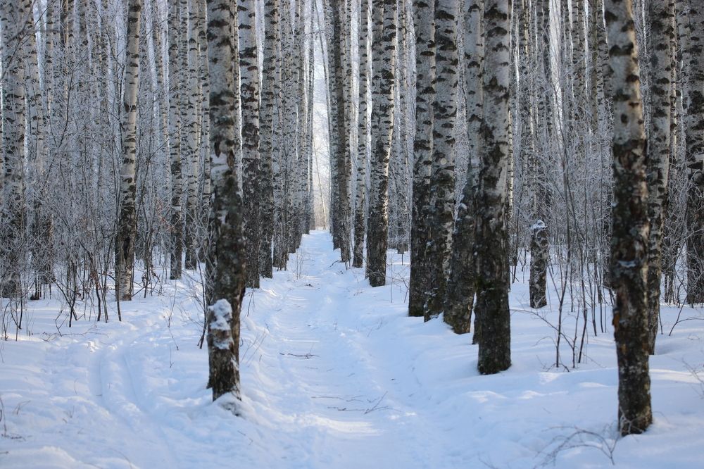 Photograph by Евгения Малафеева