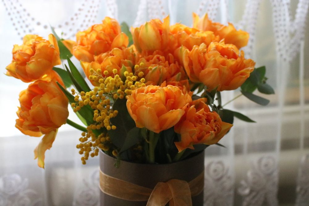 Photograph by Евгения Малафеева