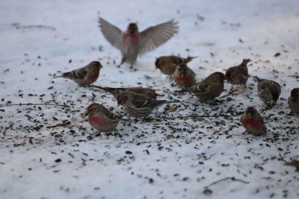 Photograph by Евгения Малафеева