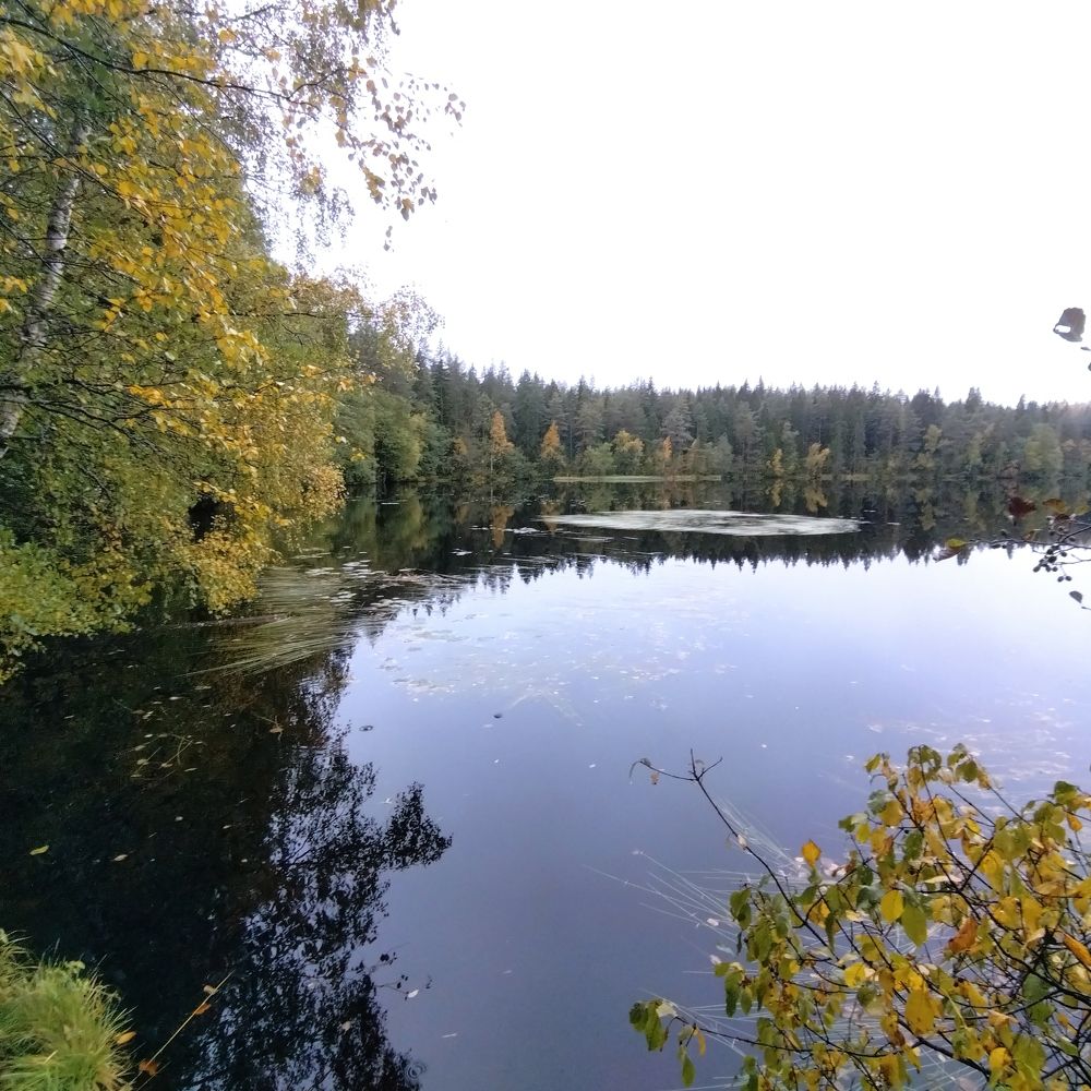 Photograph by Ирина Шубина