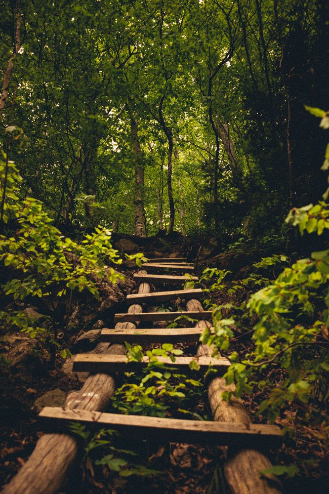 Photograph by Nikolai Rachev