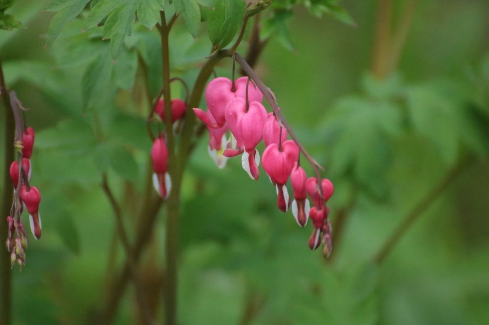 Photograph by Евгения Малафеева