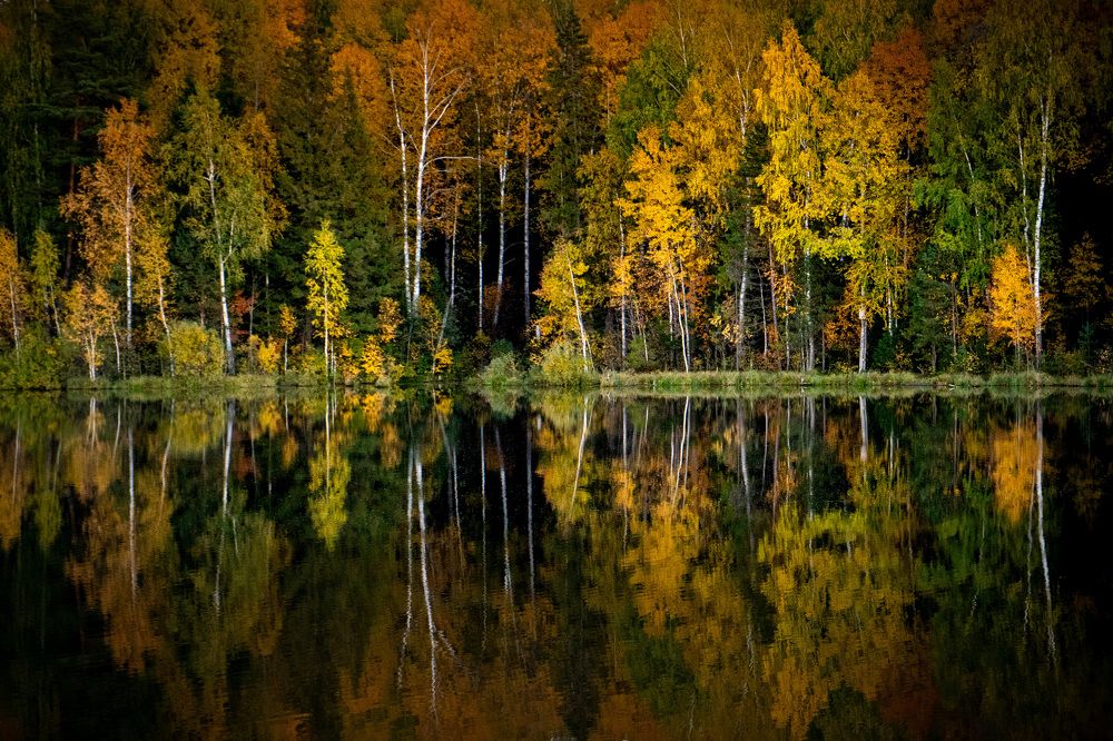 Photograph by Сергей Забиякин