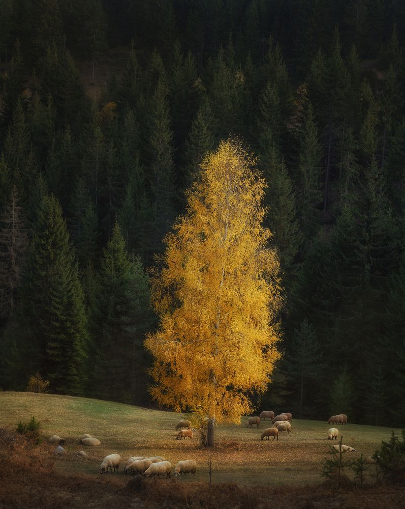 Photograph by Petya Lazarova