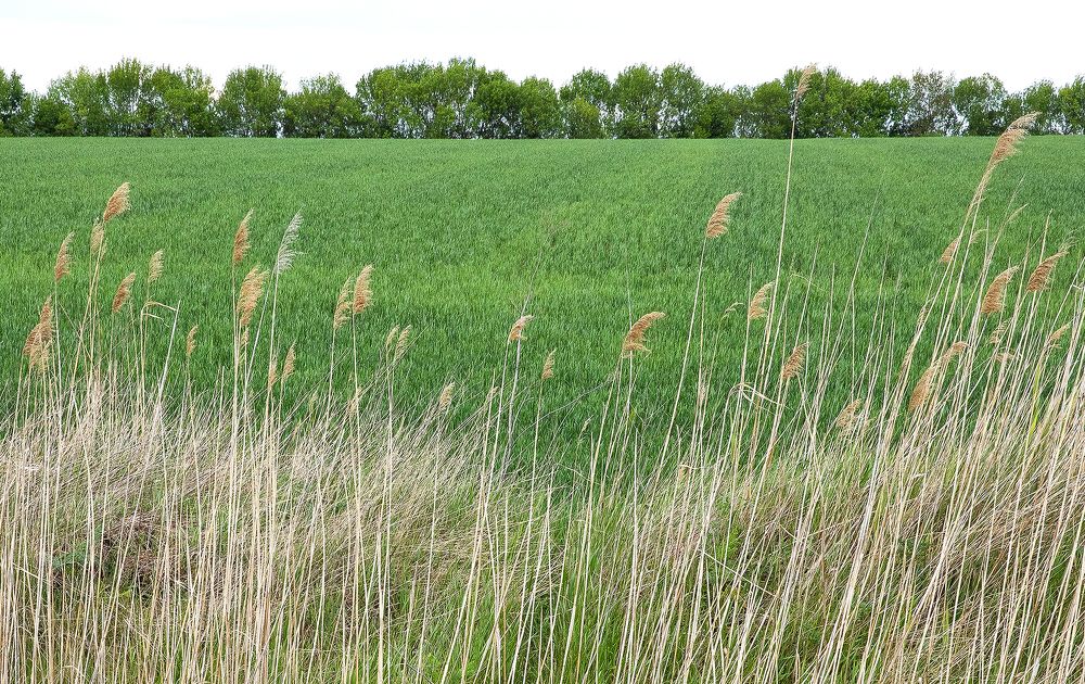 Photograph by Пожар Диана