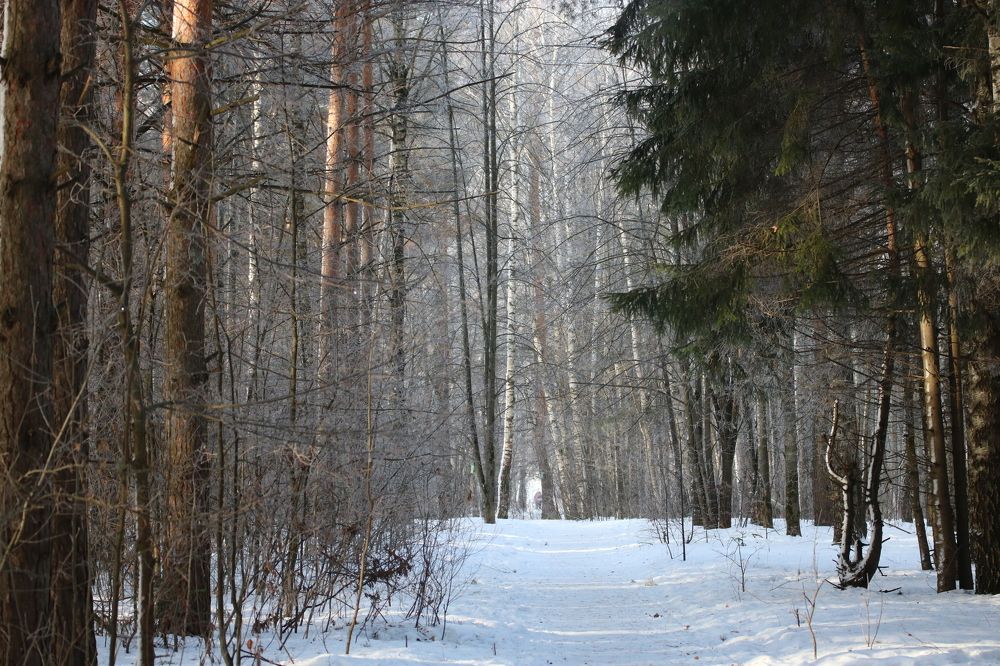 Photograph by Евгения Малафеева