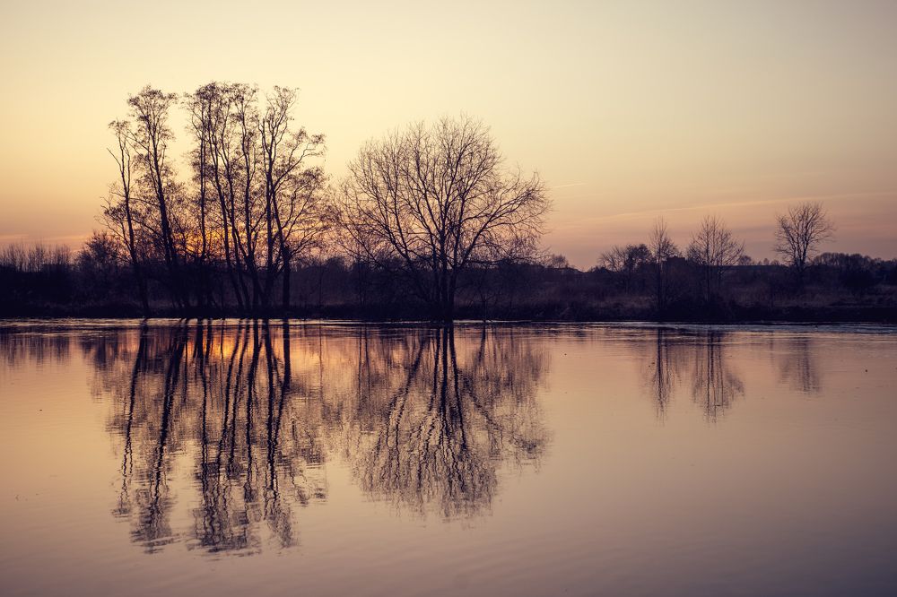 Photograph by Сергей Забиякин