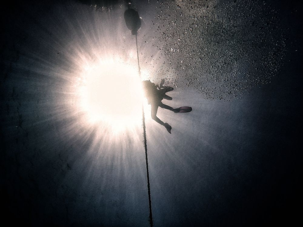 Photograph by Дмитрий Плотников