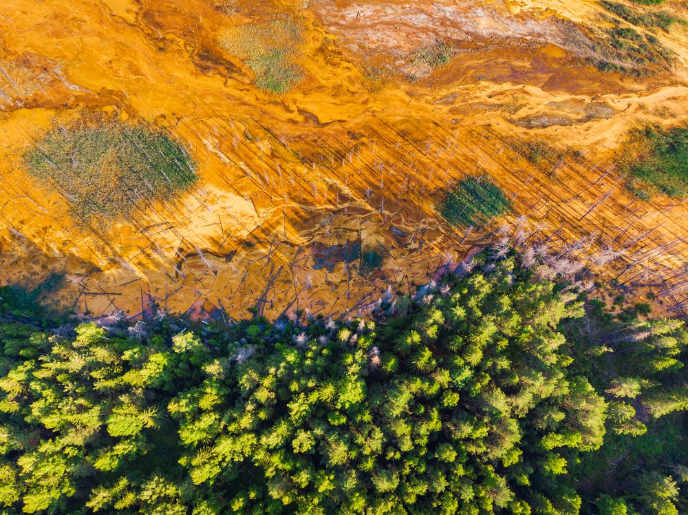 Photograph by Юрий Ломакин